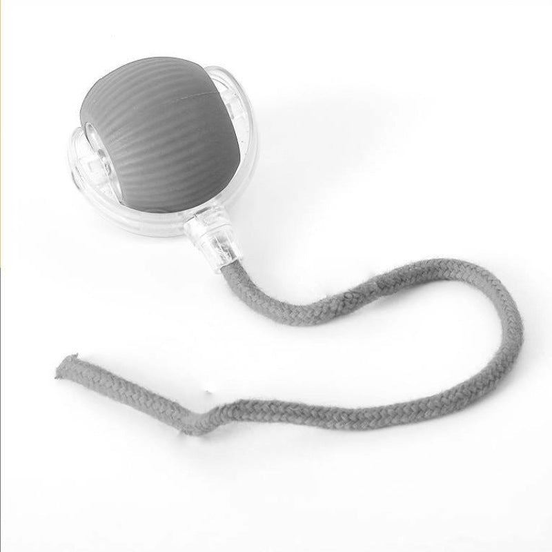 Interactive Pet Rolling Ball Toy with 2 Replaceable Tails, Automatic Dog & Cat Teaser Toy