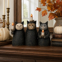 1 set (3PCS)