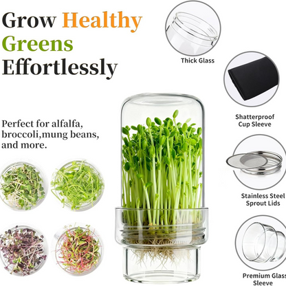 Updated Sprouting Kit - Sprouting Jar Kits, Wide Mouth Quart Mason Jars | Broccoli, Microgreens, Alfalfa Sprout Jar | Perfect for Home Gardeners, Health Enthusiasts & Vegan Diets