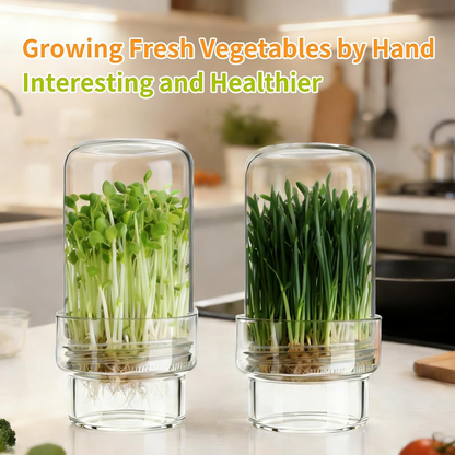 Updated Sprouting Kit - Sprouting Jar Kits, Wide Mouth Quart Mason Jars | Broccoli, Microgreens, Alfalfa Sprout Jar | Perfect for Home Gardeners, Health Enthusiasts & Vegan Diets