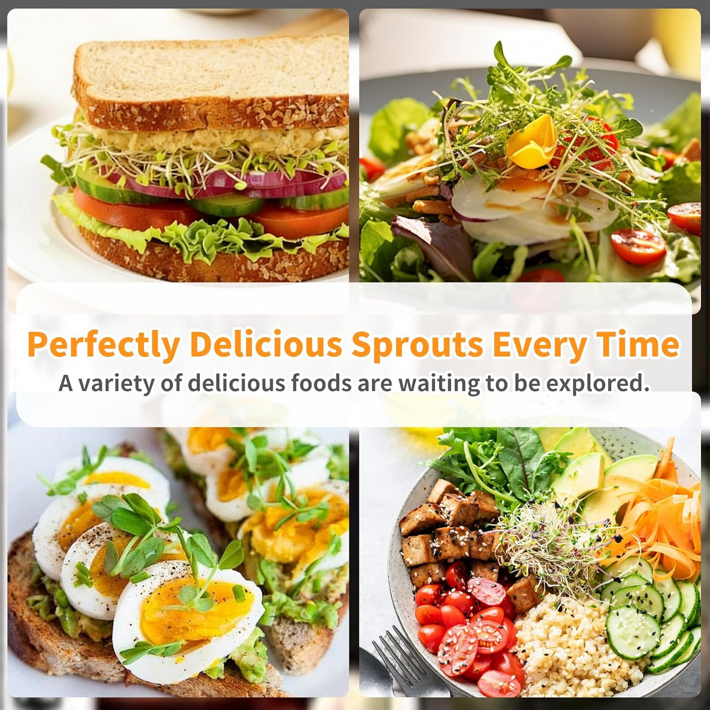 Updated Sprouting Kit - Sprouting Jar Kits, Wide Mouth Quart Mason Jars | Broccoli, Microgreens, Alfalfa Sprout Jar | Perfect for Home Gardeners, Health Enthusiasts & Vegan Diets