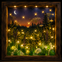 Firefly