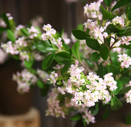 🔥Last Day 69% OFF🔥Artificial Orange Jasmine (Murraya paniculata) – Lifelike Faux Plant for Home Decor