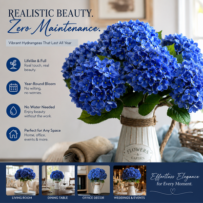 Hydrangea