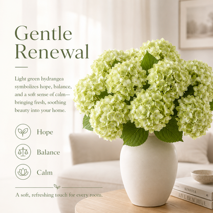 Hydrangea