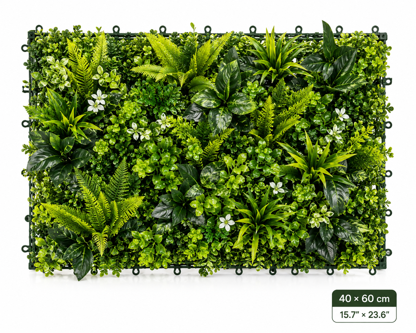 Turn Any Empty Wall Into Lush Greenery—In Minutes.