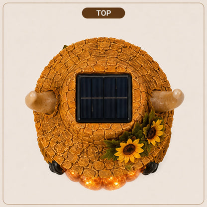 Solar Highland Cow Pumpkin Light