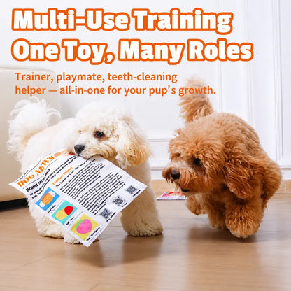 Pet Newspaper Crinkle Toy Set – Fun Chew, Tug & Teething Toy for Dogs