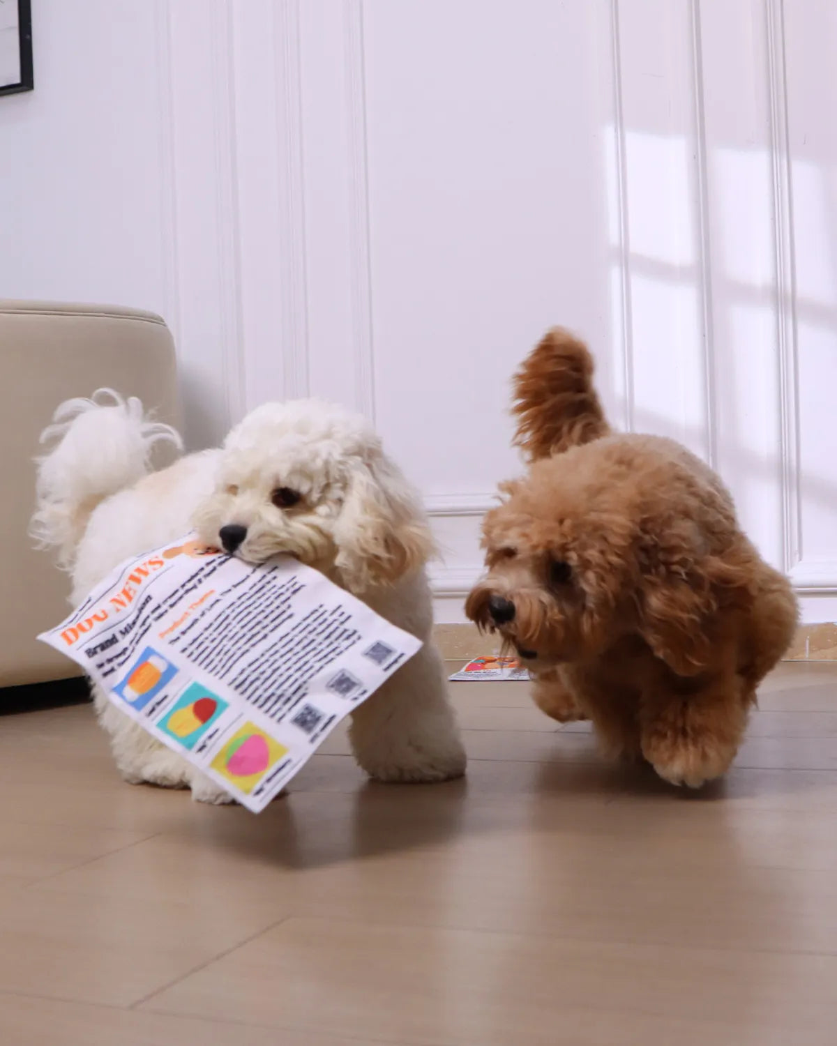 🔥3-Pack Bundle🔥Crinkle Newspaper Dog Toy for Boredom Relief, Interactive Chew Toy for Dogs