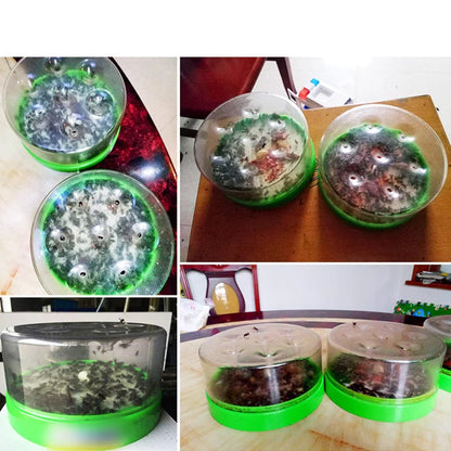 Reusable Non-Electric Fly Trap