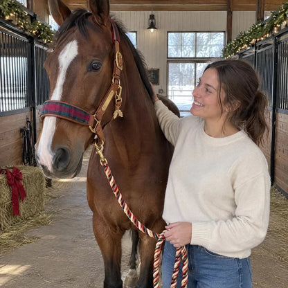🐴 Trot into Holiday Magic: Equestrian Themed Christmas Advent Calendar 2026