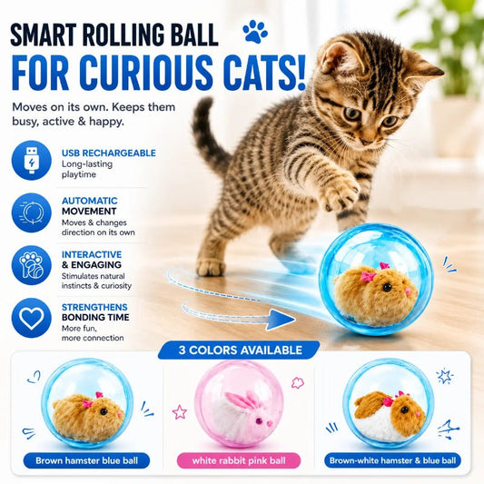 Balle interactive autonome pour chat