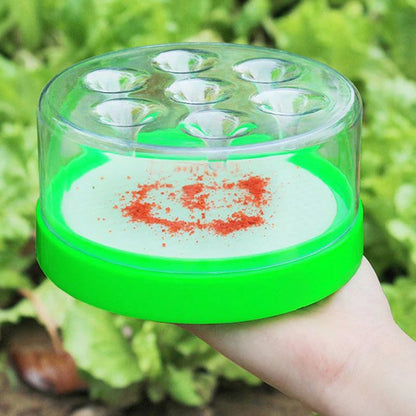Reusable Non-Electric Fly Trap