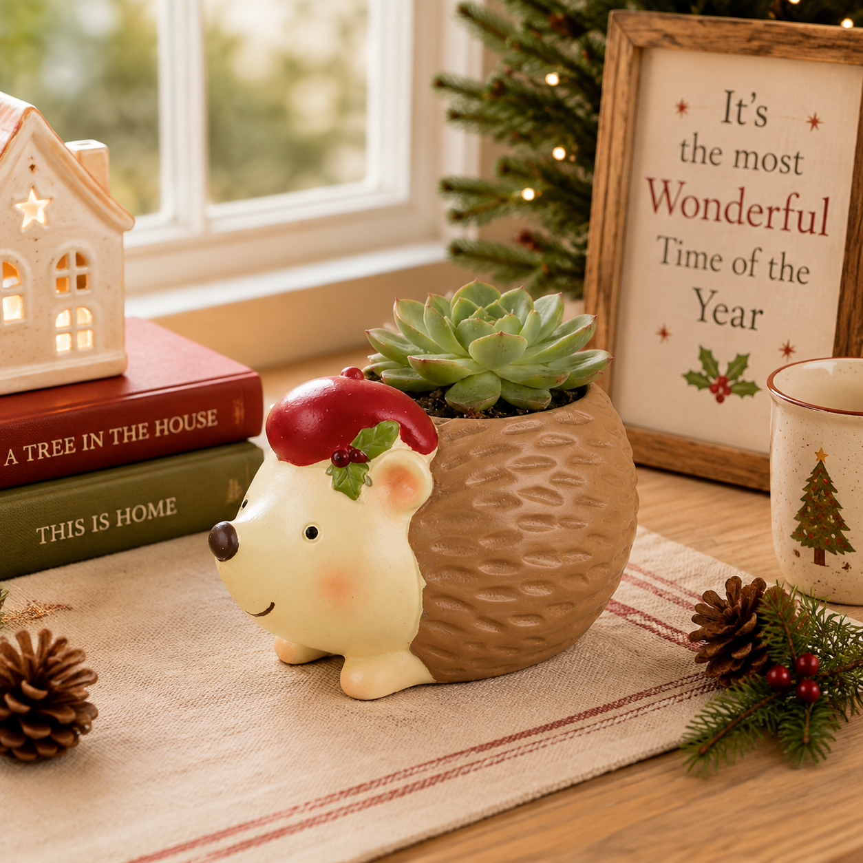 Holiday Hedgehog succulent planter