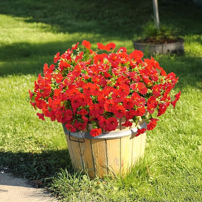 💥Upgraded high-end material🌸UV-resistant and non-fading morning glory