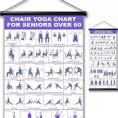 🔥🎁🔥Tai Chi Chair Workout Chart for Seniors (16 x 24 inches)