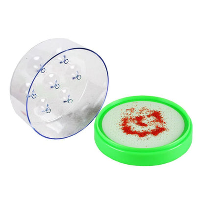 Reusable Non-Electric Fly Trap