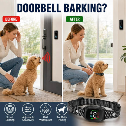🛡️🐾 Anti Bark Collar – Smart anti‑false triggering filters out other barks. IP67 waterproof & USB rechargeable – worry‑free training anywhere! 💦✅