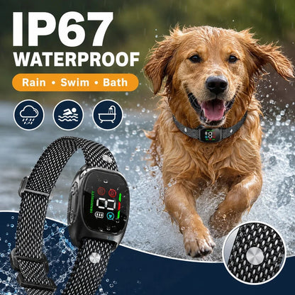 🛡️🐾 Anti Bark Collar – Smart anti‑false triggering filters out other barks. IP67 waterproof & USB rechargeable – worry‑free training anywhere! 💦✅