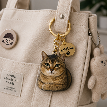 Take Meimei Home Today — Limited-Time Offer! 🐾