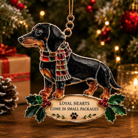 Dachshund-Loyal hearts come in small packages