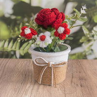 Red rose