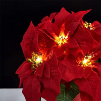 Length 3m (20 LED)
