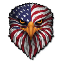 USA Flag