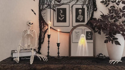 Miroir fantôme hologramme Halloween 2026